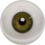 BBW Sex Doll Lila - Fanreal Doll - 166cm/5ft5 Silicone Sex Doll