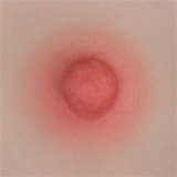 Chun Li Sex Doll: Street Fighter 6 Silicone Doll, Game Lady 169cm/5ft6 F-Cup