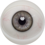 Milf Sex Doll Maddy - Fanreal Doll - 168cm/5ft6 Silicone Sex Doll