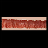 Tall Sex Doll Hailey - Zelex Inspiration Series 2.0 - 170cm/5ft7 Silicone Sex Doll