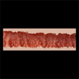 Blonde Sex Doll Malin - Zelex Inspiration Series 2.0 - 170cm/5ft7 Silicone Sex Doll