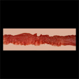 Tall Sex Doll Hailey - Zelex Inspiration Series 2.0 - 170cm/5ft7 Silicone Sex Doll