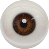 Blonde Sex Doll Maria - Fanreal Doll - 170cm/5ft6 Silicone Sex Doll Integrated Body