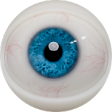 Tall Sex Doll Gina - Fanreal Doll - 170cm/5ft6 Silicone Sex Doll