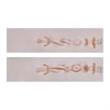 Asian Sex Doll Miku - Irontech - 153cm/5ft Silicone Sex Doll