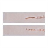 Asian Sex Doll Miku - Irontech - 153cm/5ft Silicone Sex Doll