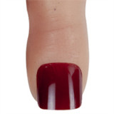 Asian Sex Doll Torso Fukada - Climax Doll - 100cm Silicone Sex Doll