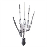 Big Ass Sex Doll Catlin - Real Lady - 170cm/5ft6 Silicone Sex Doll