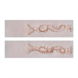 Asian Sex Doll Lina - Irontech - 153cm/5ft Silicone Sex Doll