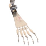 Blonde Sex Doll Eloise - Funwest Doll - 157cm/5ft2 Silicone Sex Doll