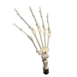 Blonde Sex Doll Pearl - Irontech Doll - 171cm/5ft7 Silicone Sex Doll