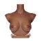Realistic Bust Dark Tanned