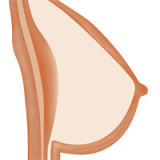 Big Ass Sex Doll Torso Renata - Climax Doll - 104cm/3ft4 Silicone Sex Doll