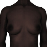 Small Breast Sex Doll Torso Morgan - Climax Doll - 100cm/3ft3 Silicone Sex Doll