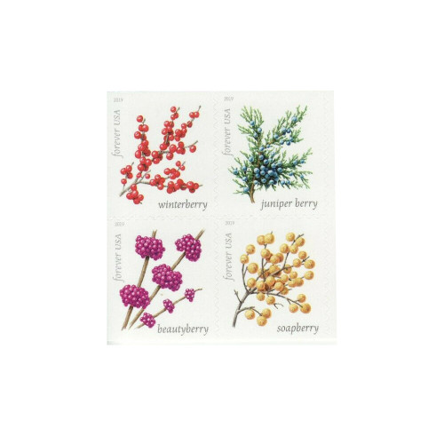 Winter Berries Book of 20 First Class US Postage Stamps Wedding Celebrate Engagement