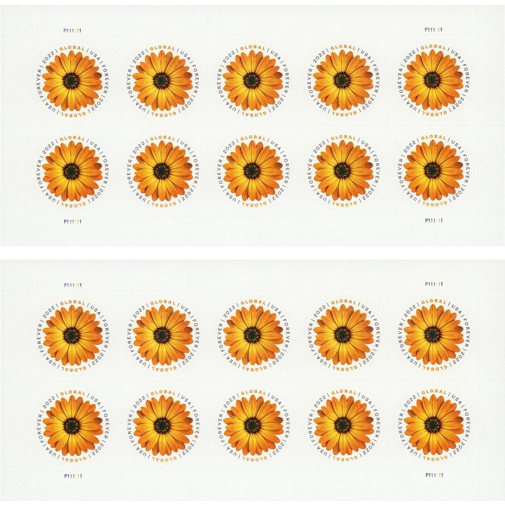 New U.S. global forever stamp features African daisy