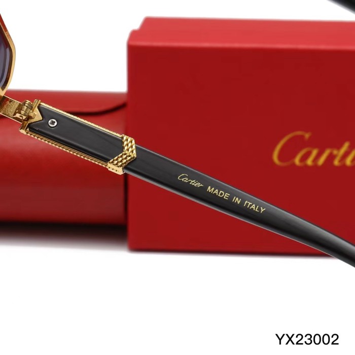 23002 Sunglasses
