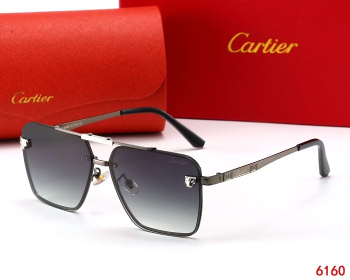 6160# Sunglasses