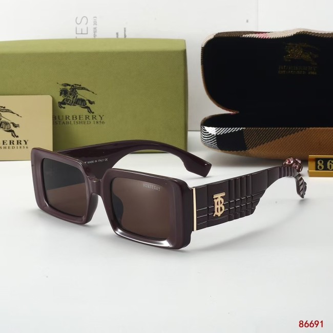 86691# Sunglasses