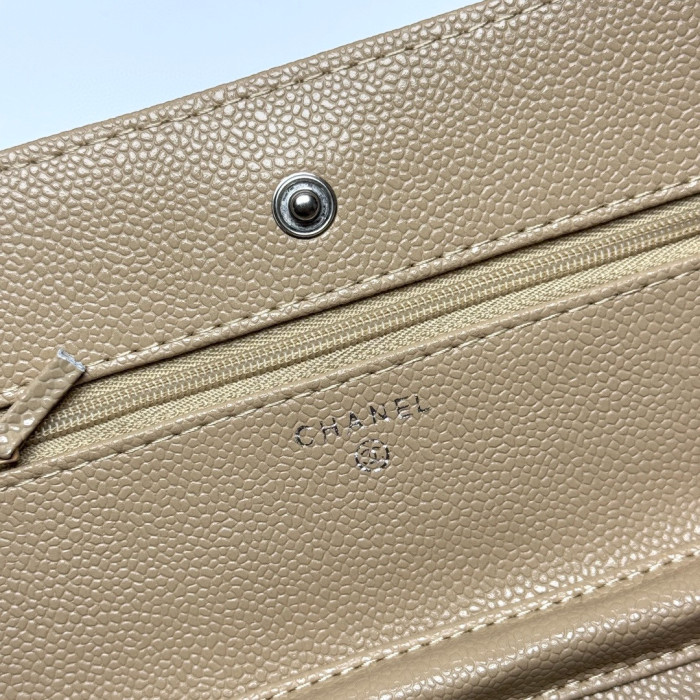 AA# High Quality Womens Woc Messenger Bag  19*13*4 CM