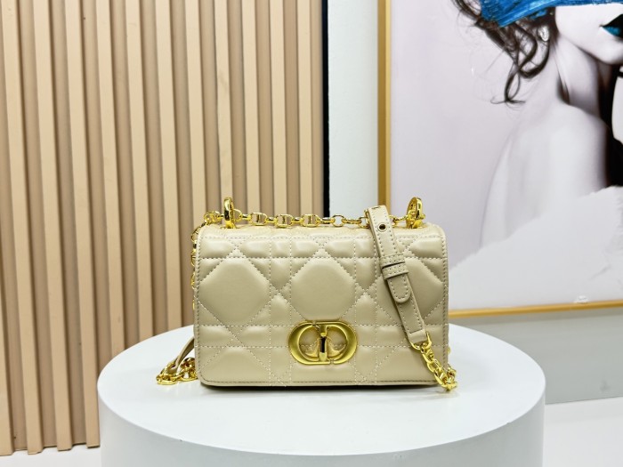 AAA# High Quality Womens Caro Bag 20×12×7CM