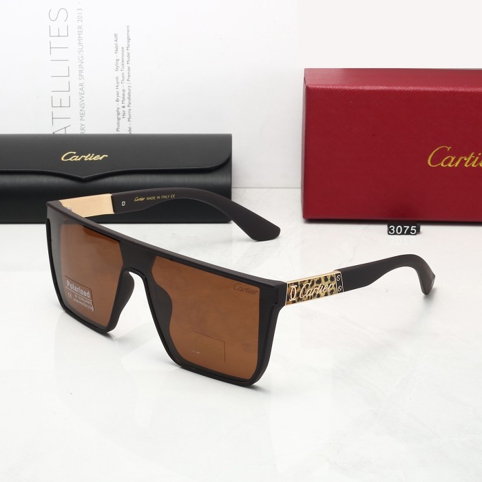 3075# Sunglasses