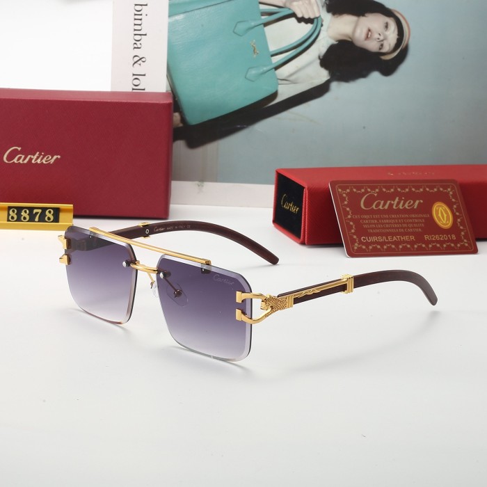 8878# Sunglasses