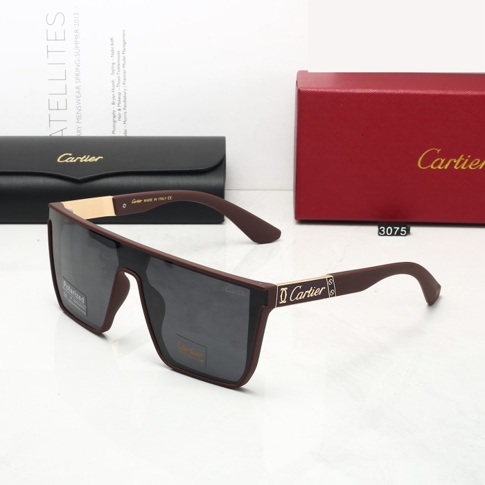 3075# Sunglasses