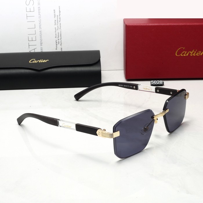 5028# Sunglasses