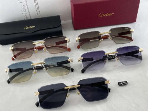 5028# Sunglasses