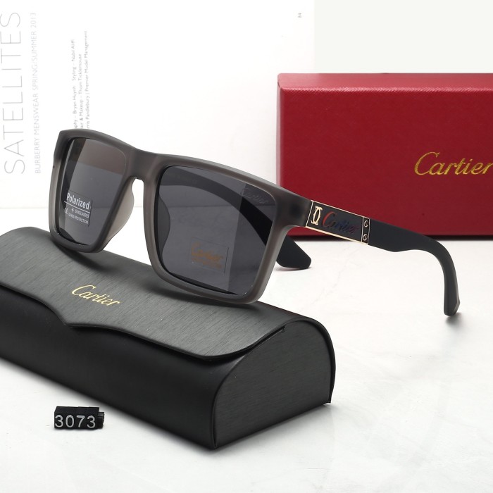 3073# Sunglasses