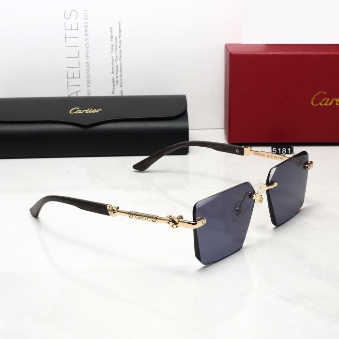 5181# Sunglasses