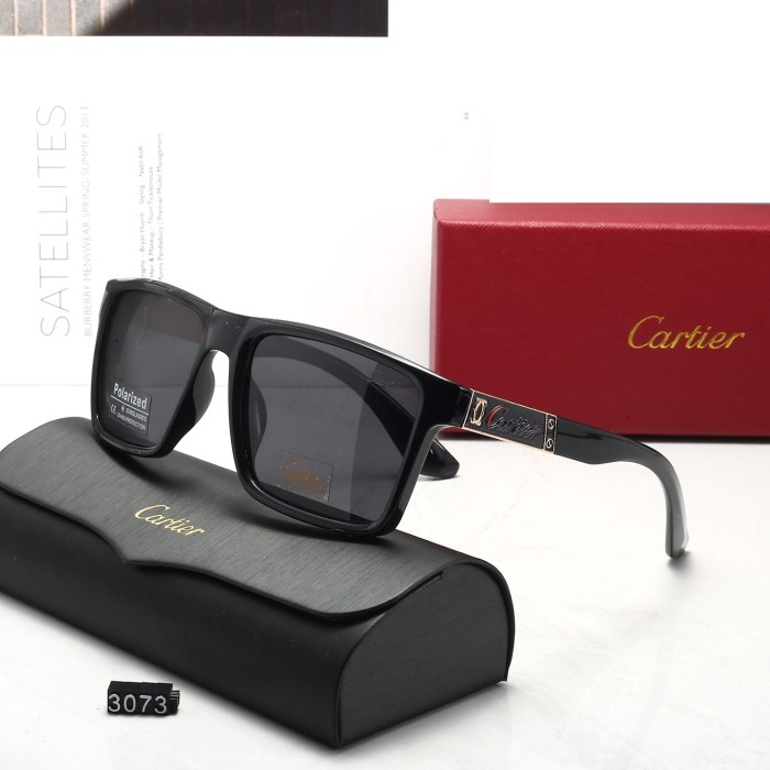 3073# Sunglasses