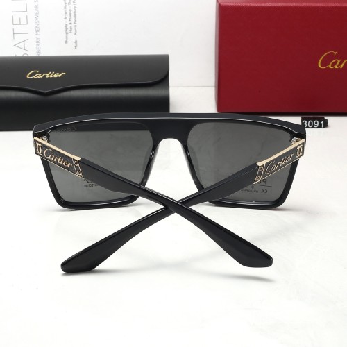 3091# Sunglasses