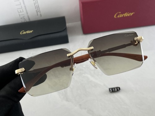5181# Sunglasses