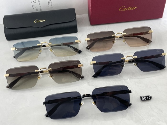 5017# Sunglasses