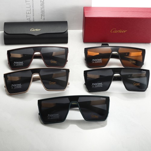 3075# Sunglasses