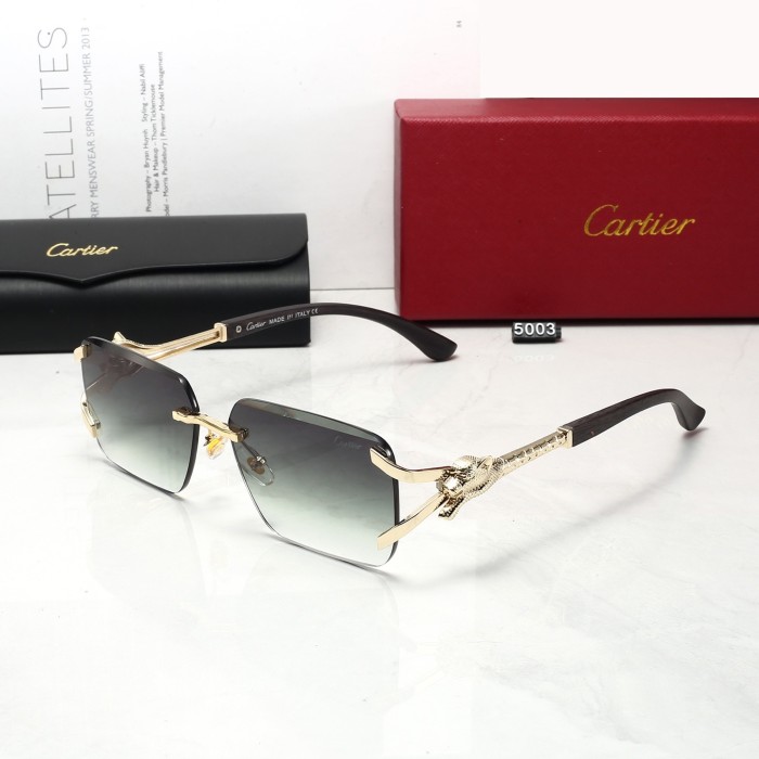 5003# Sunglasses