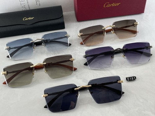 5181# Sunglasses
