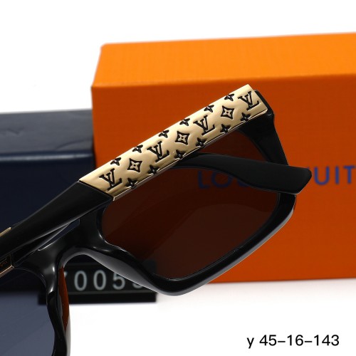 70055 Sunglasses