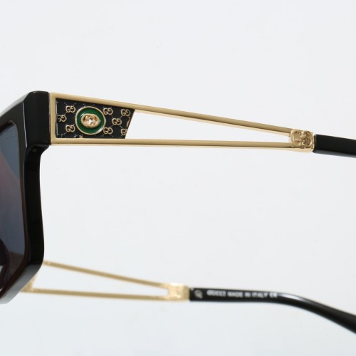 69110 Sunglasses