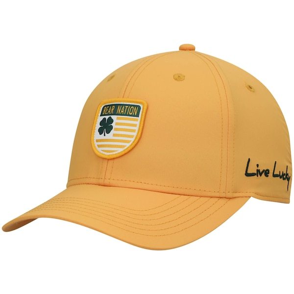 Baylor Bears Nation Shield Snapback Hat - Gold