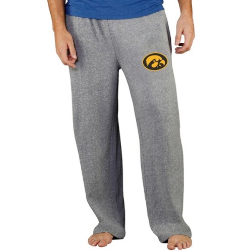 Iowa Hawkeyes Concepts Sport Mainstream Terry Pants - Gray