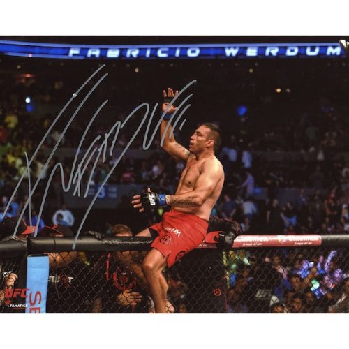 Fabricio Werdum Ultimate Fighting Championship Fanatics Authentic Autographed 8'' x 10'' Sitting On Cage Photograph