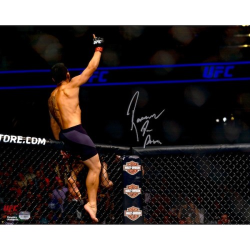 Rafael Dos Anjos Ultimate Fighting Championship Fanatics Authentic Autographed 16" x 20" Sitting On Cage Photograph