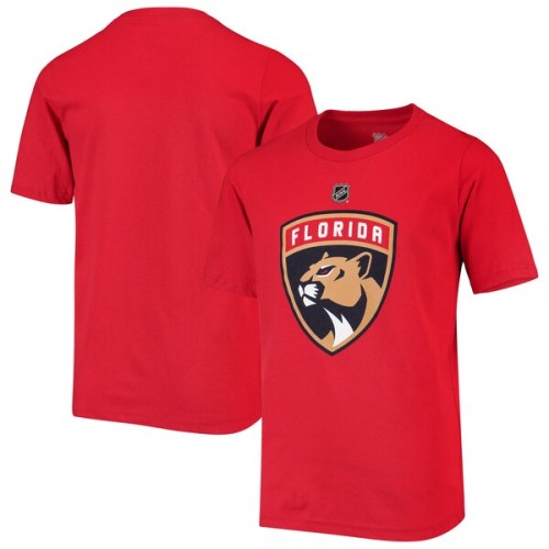 Florida Panthers Youth Primary Logo T-Shirt - Red