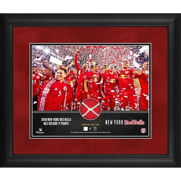 New York Red Bulls Framed 11" x 14" 2018 MLS Franchise Record Photograph with a Piece of Game-Used Net - Limited Edition of 71