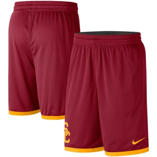 USC Trojans Nike Logo Performance Shorts - Cardinal/Gold