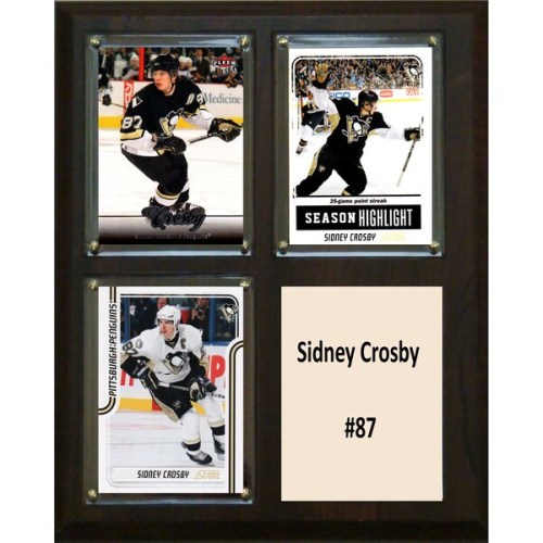 Sidney Crosby Pittsburgh Penguins 8'' x 10'' Plaque
