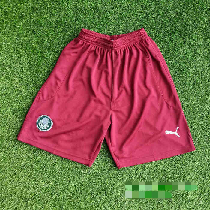 Palmeiras 2021 Goalkeeper GK3 Soccer Jersey and Short Kit